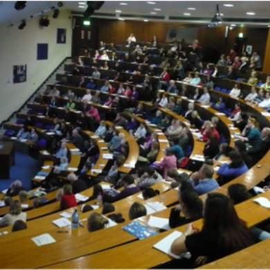 O'Flanagan Lecture Theatre in the Royal College of Surgeons in Ireland