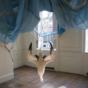 Dorothy Cross for web