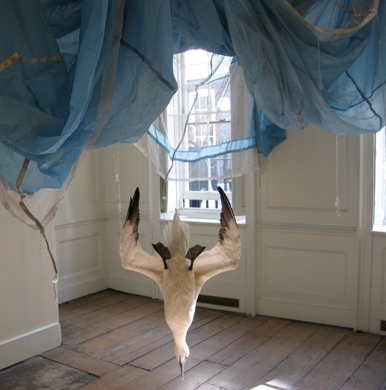 Dorothy Cross for web