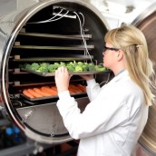 Food Harvest for web