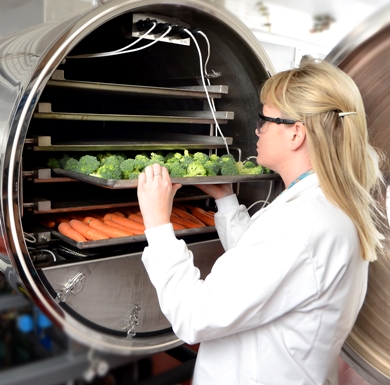 Food Harvest for web