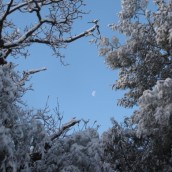 Moon in snow -size for website