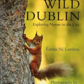 Wild Dublin 2