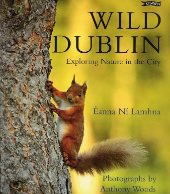 Wild Dublin 2