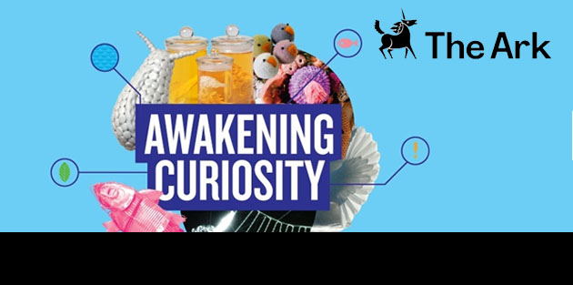 awakening curiosity