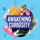 awakening-curiosity-whatson