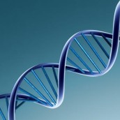 Your-Genes-Your-Health-Your-Futurehy