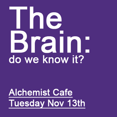 The Brain Do We Know It Alchemist Cafe Dublin City of Science 2012