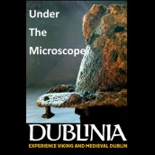 under the microscope